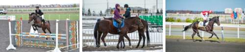 Всероссийские соревнования по конному спорту Казань