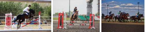 Соревнования по конному спорту 2017 Казань
